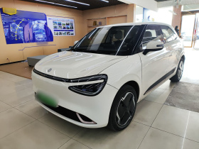 东风纳米 纳米01 2024款 330 行业版