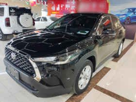 丰田 卡罗拉锐放 2023款 2.0L 先锋版