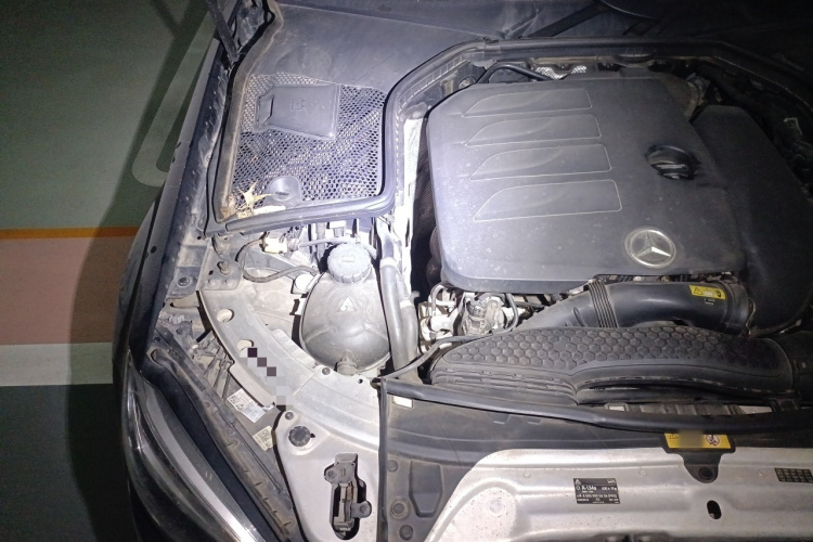 奔驰C级 2019款 C 260 L 运动版局部细节9006