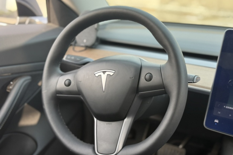 特斯拉 Model 3 2020款 改款 长续航后轮驱动版中控内饰7003