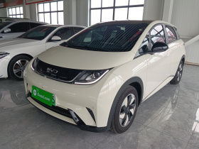 比亚迪 海豚 2024款 荣耀版 420km 时尚版