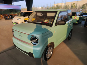 吉利银河 2023款 熊猫mini 200km 耐力熊