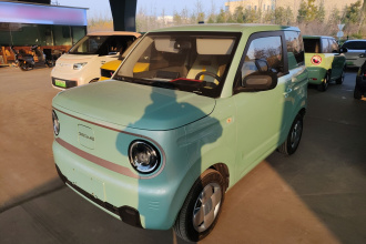 吉利银河 2023款 熊猫mini 200km 耐力熊