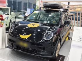 江淮钇为 钇为3 2025款 330km 黑凤梨版