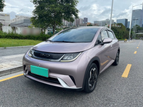 比亚迪 海豚 2021款 405km 时尚版