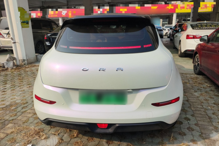 欧拉好猫 2021款 400km标准续航 维纳斯版 三元锂车身外观6004