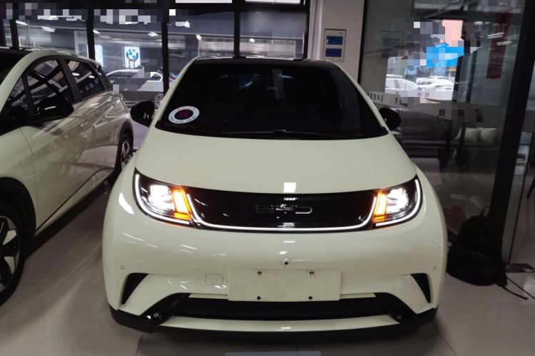 比亚迪 海豚 2023款 420km 时尚版车身外观6001