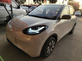 五菱汽车 五菱缤果 2025款 333km 悦享款