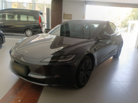 特斯拉 Model 3 2023款 后轮驱动版