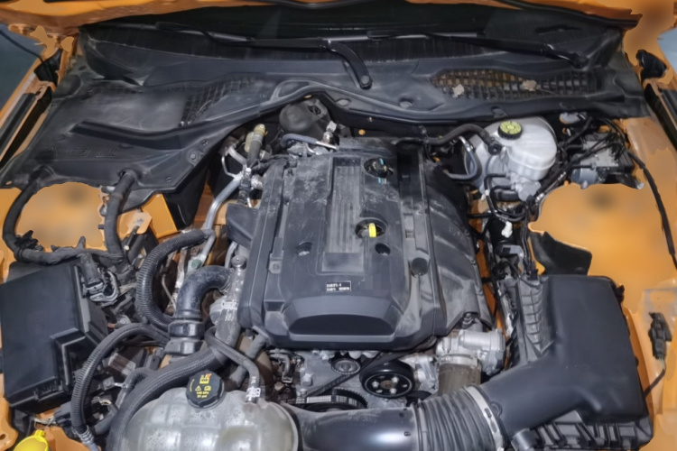 SHELBY GTE 2018款 2.3T 基础版局部细节24