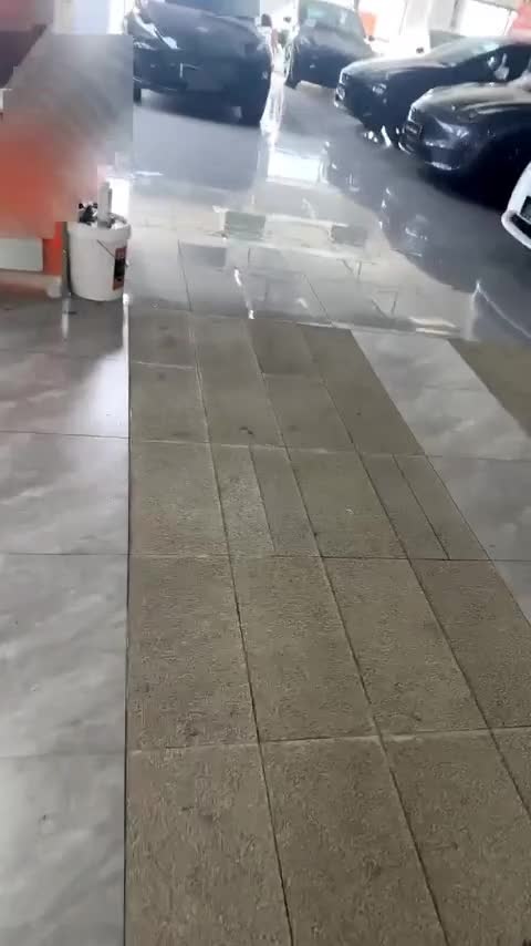 特斯拉 Model Y 2024款 Performance高性能版讲解2