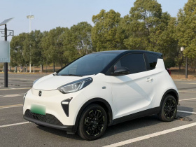 奇瑞 小蚂蚁 2024款 青春版 321km 唯爱版 29.23kWh