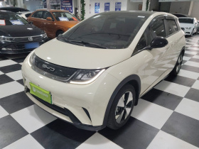 比亚迪 海豚 2023款 420km 时尚版