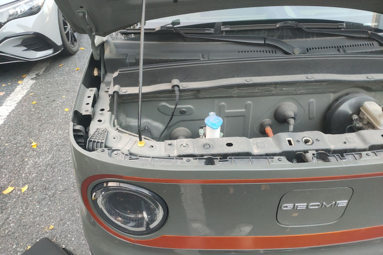 吉利银河 2023款 熊猫mini 新春版宝藏熊局部细节9006