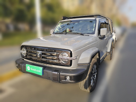 坦克300 2023款 城市版 2.0T 很有型