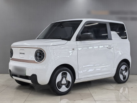 吉利银河 2023款 熊猫mini 200km 灵动熊
