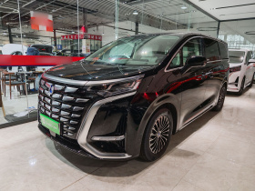 腾势D9 2024款 DM-i 980 四驱旗舰型