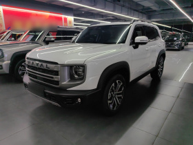 哈弗大狗 2024款 1.5T DCT边牧版