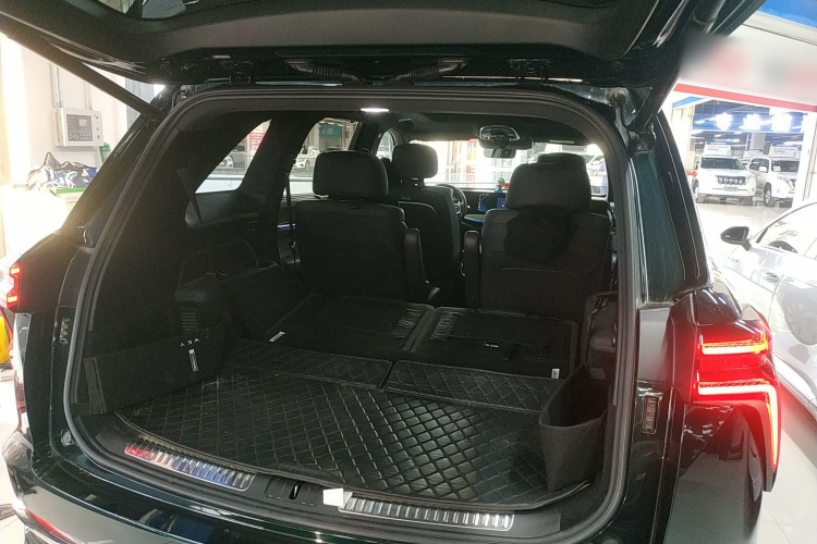 魏牌 蓝山 2023款 四驱超长续航版局部细节23