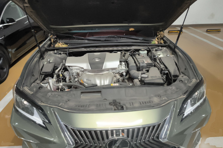 雷克萨斯ES 2018款 200 卓越版 国VI局部细节24