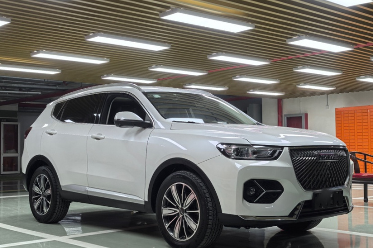 哈弗H6 2021款 1.5T 自动冠军版车身外观6003