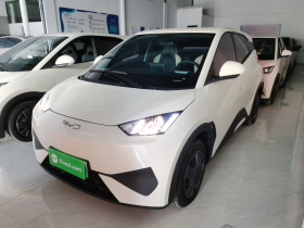 比亚迪 海鸥 2025款 智驾版 305km 活力版