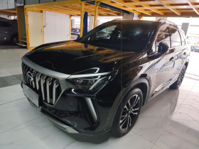 广汽传祺 传祺GS4 PLUS 2021款 390T 自动星际版