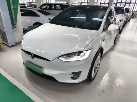 特斯拉 Model X 2019款 长续航版