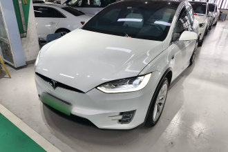特斯拉 Model X 2019款 长续航版