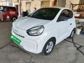 荣威 科莱威CLEVER 2021款 302km卓越版