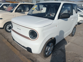 吉利银河 2024款 熊猫mini 200km 耐力熊