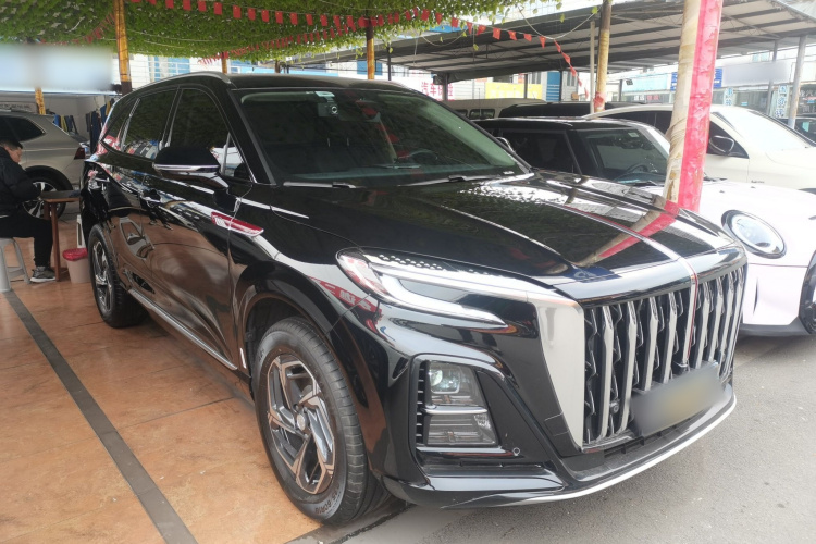 红旗HS3 2024款 1.5T 善为版车身外观6002