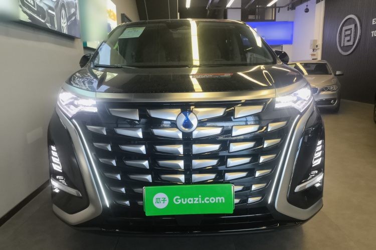 腾势D9 2022款 DM-i 1040 尊贵型车身外观2