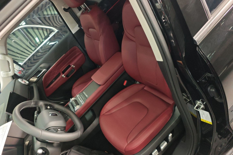 坦克300 2025款 2.4T 柴油版局部细节19