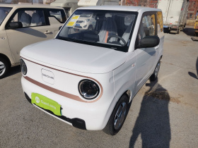 吉利银河 2024款 熊猫mini 200km 耐力熊