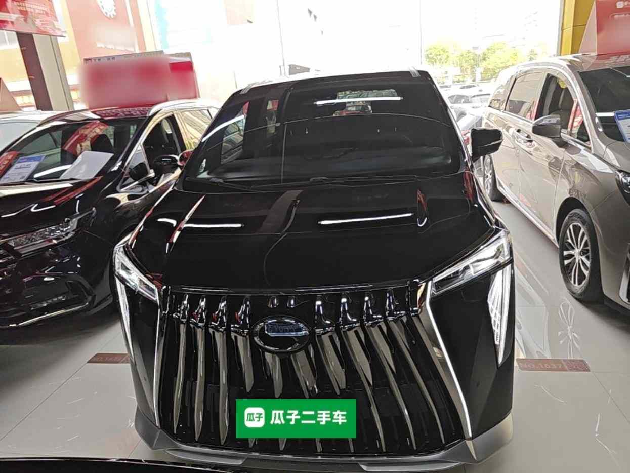 广汽传祺 传祺M8 2024款 宗师系列 400T 至尊版(1)