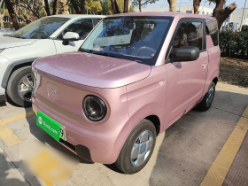 吉利银河 2023款 熊猫mini 200km 耐力熊