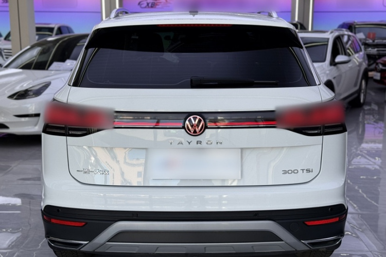 大众 探岳 2024款 300TSI 两驱豪华Plus进阶版车身外观6004