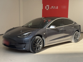 特斯拉 Model 3 2019款 标准续航后驱升级版