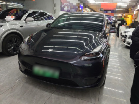 特斯拉 Model Y 2024款 长续航全轮驱动版