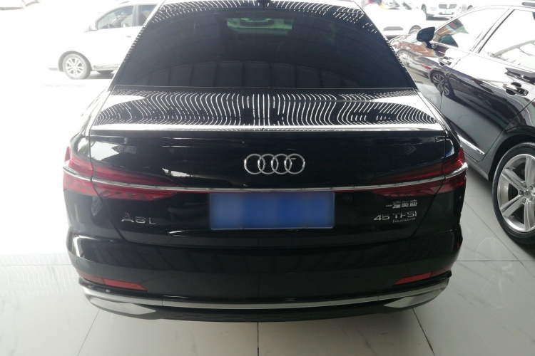 奥迪A6L 2024款 45 TFSI quattro 臻选动感型车身外观6004