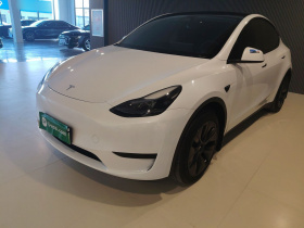特斯拉 Model Y 2024款 后轮驱动版