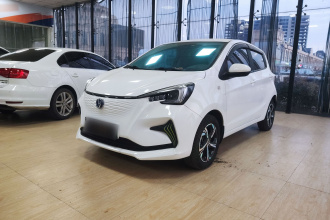 长安欧尚 奔奔E-Star 2022款 赏心版 多彩款 三元锂