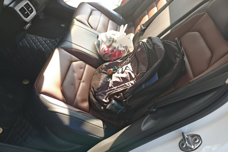 大众 朗逸 2021款 280TSI DSG豪华版中控内饰7004