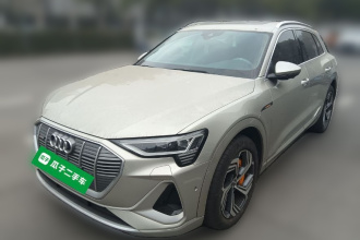 奥迪e-tron 2021款 50 quattro 臻选型