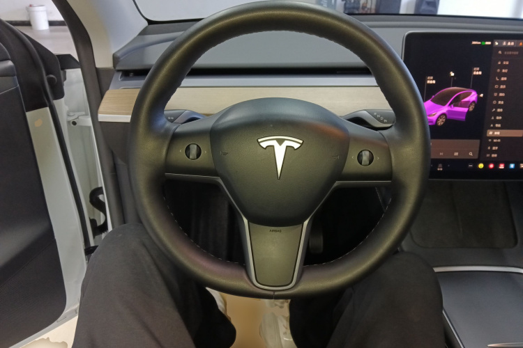 特斯拉 Model Y 2021款 标准续航后驱版中控内饰13