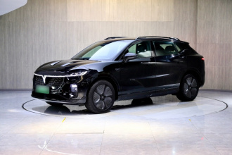 岚图汽车 岚图知音 2024款 四驱全球版