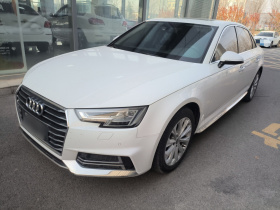 奥迪A4L 2019款 40 TFSI 进取型 国VI