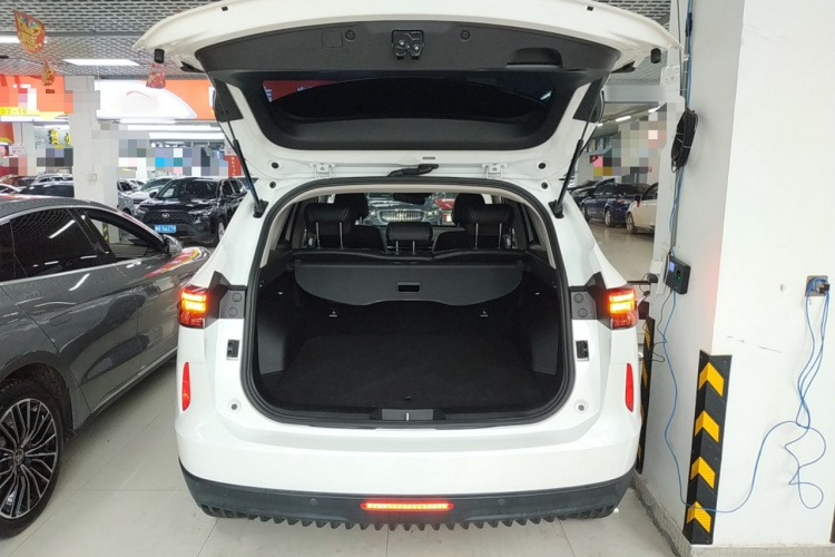 哈弗H6 2021款 第三代 2.0T 自动两驱Max局部细节23