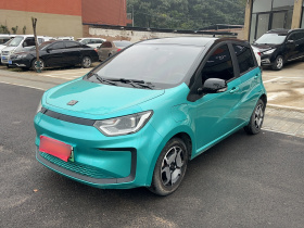 思皓 花仙子 2021款 302km 豪华型 31.4kWh